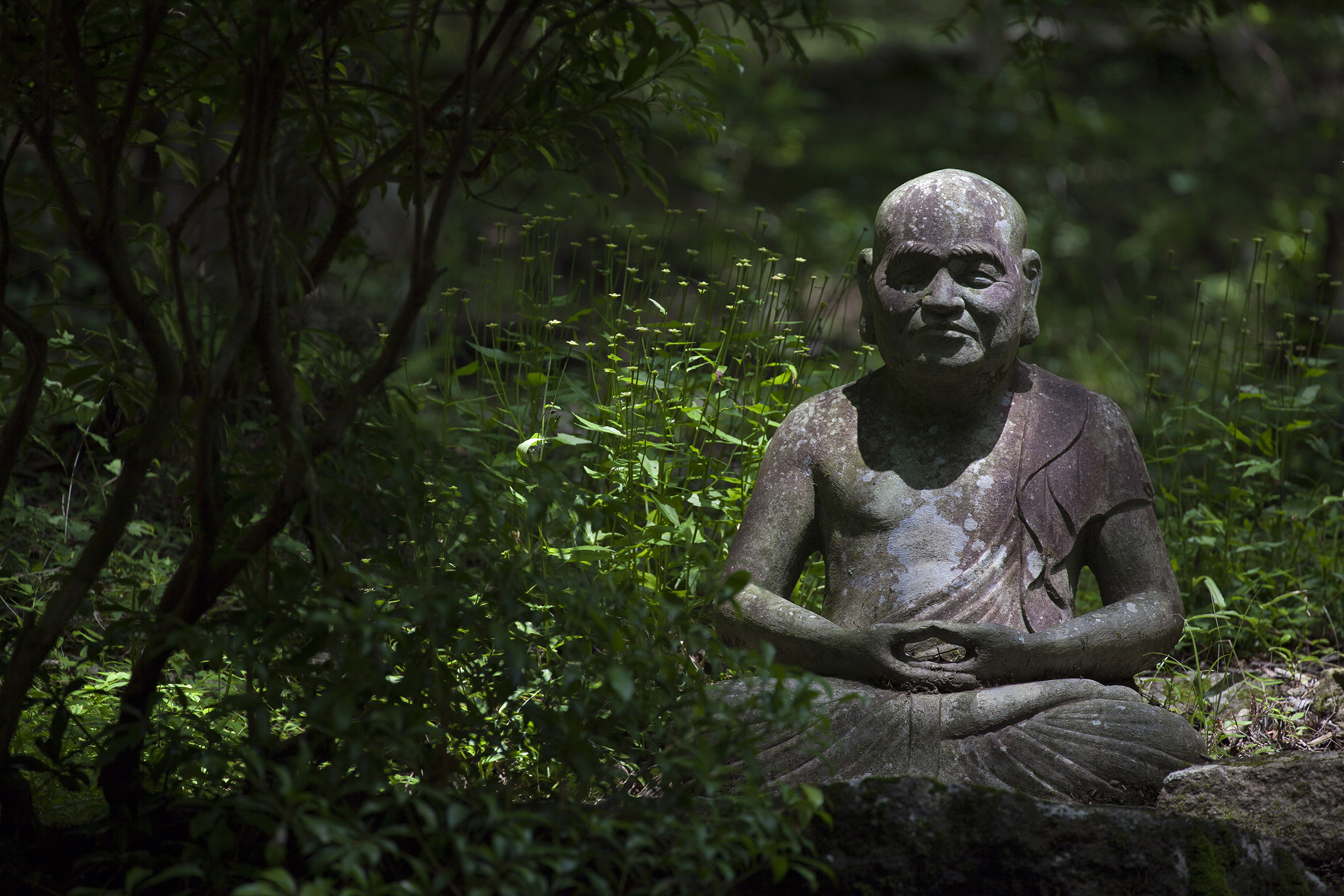 Choanji  - Choanji Temple - Hakone -