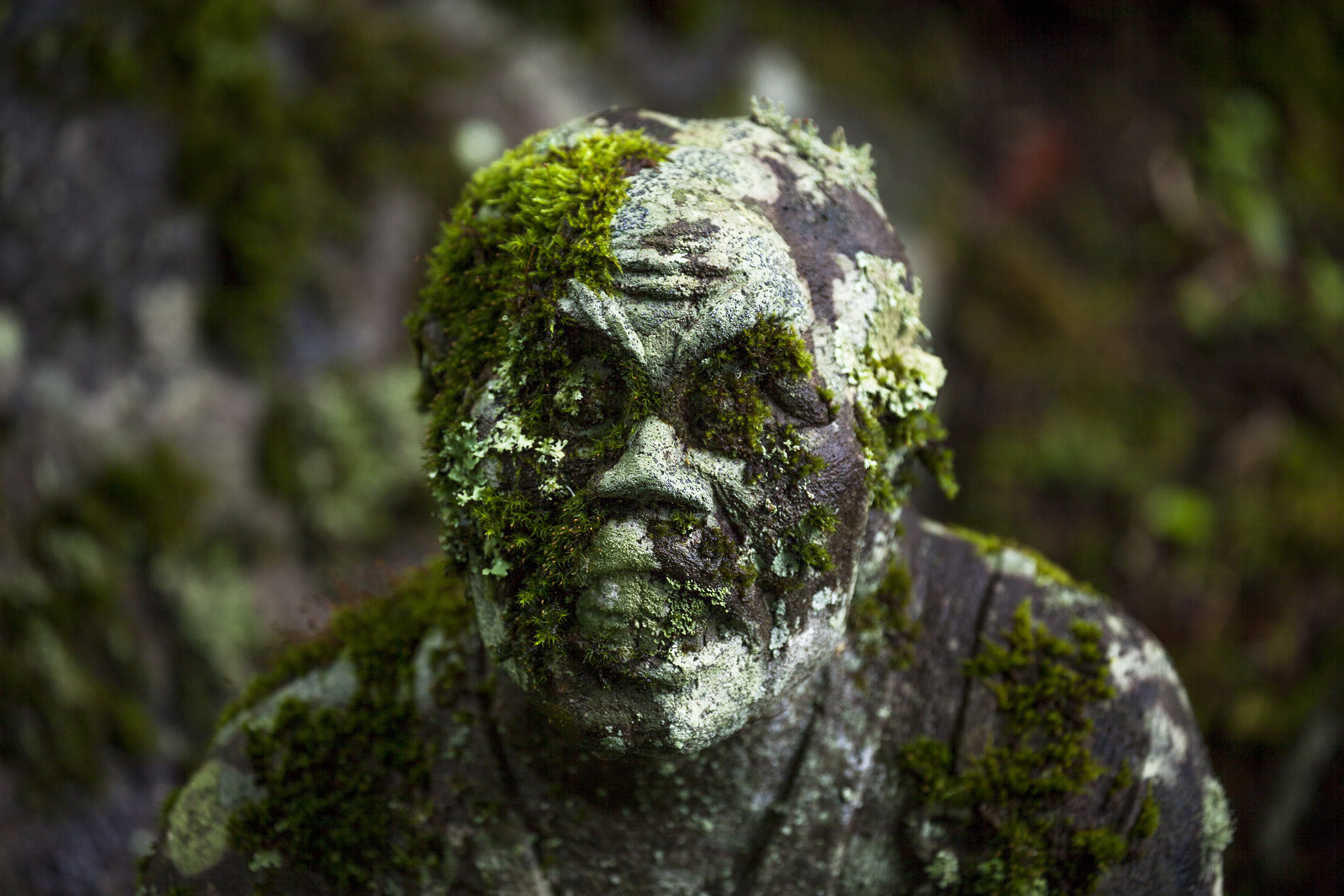 Choanji Temple - Choanji Temple - Hakone -