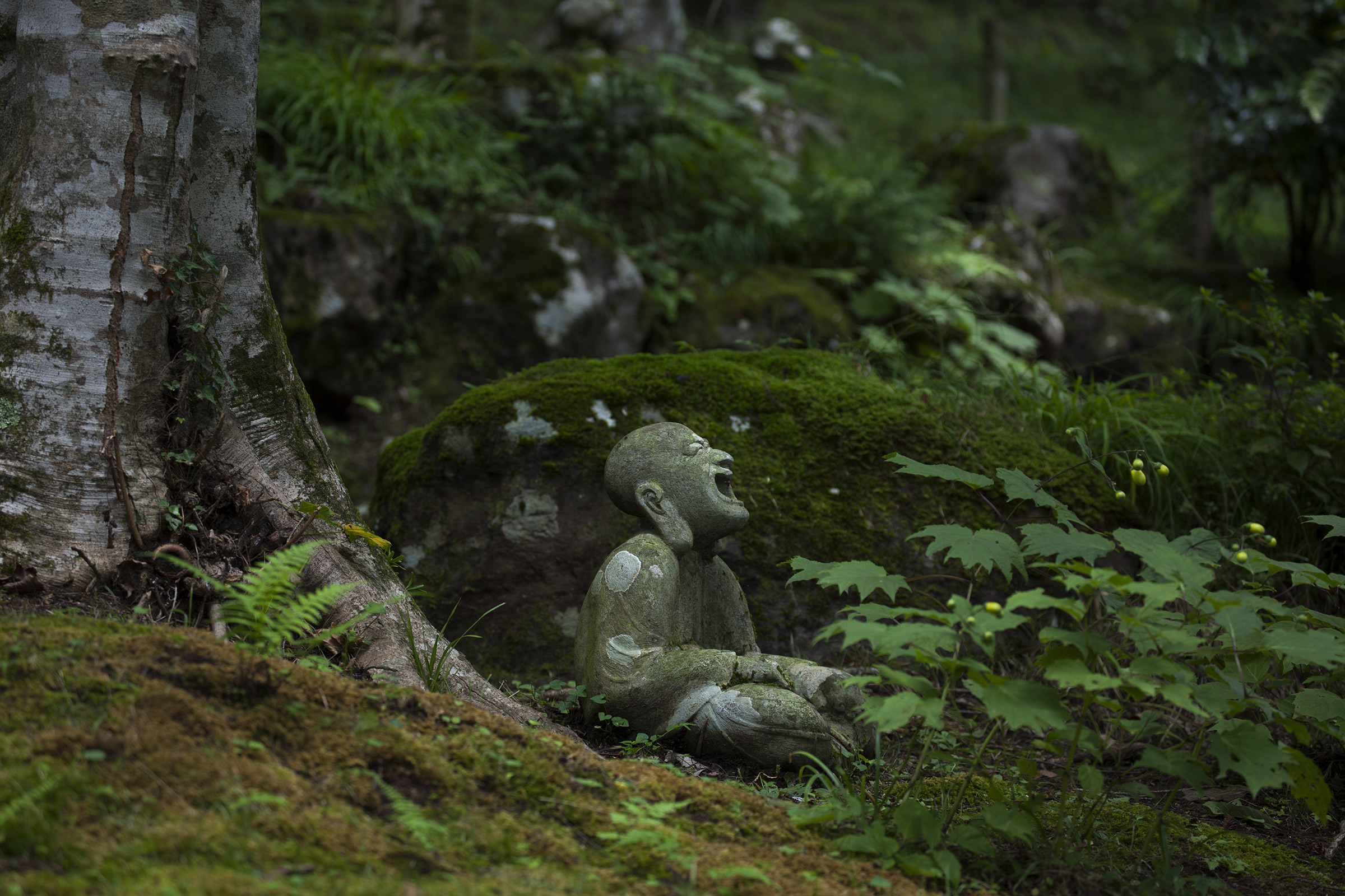 Choanji  - Choanji Temple - Hakone -