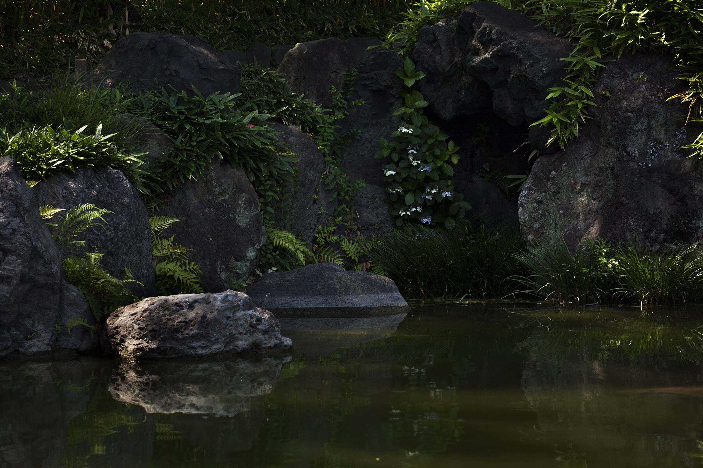 Kiyosumi - 