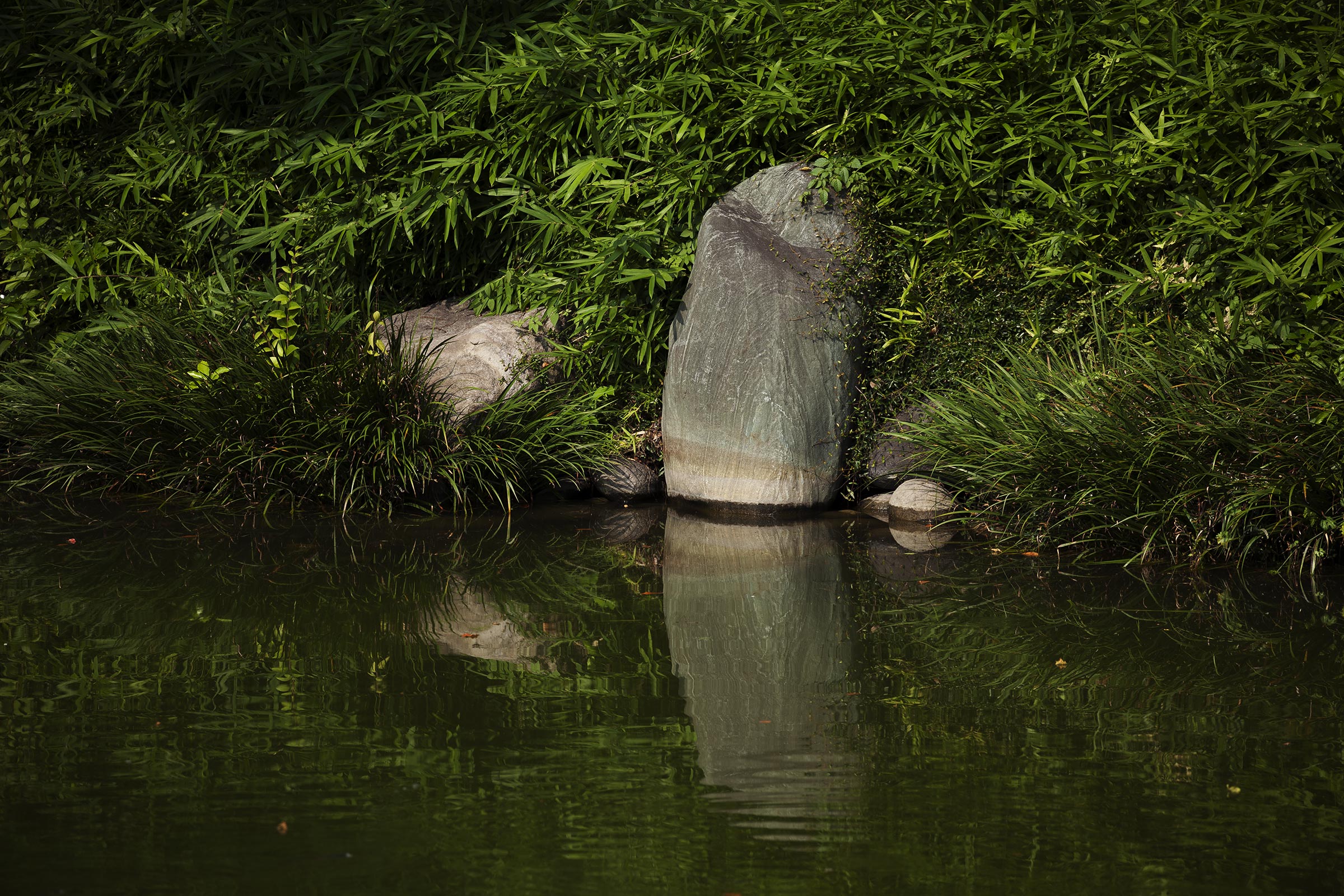Kiyosumi - 
