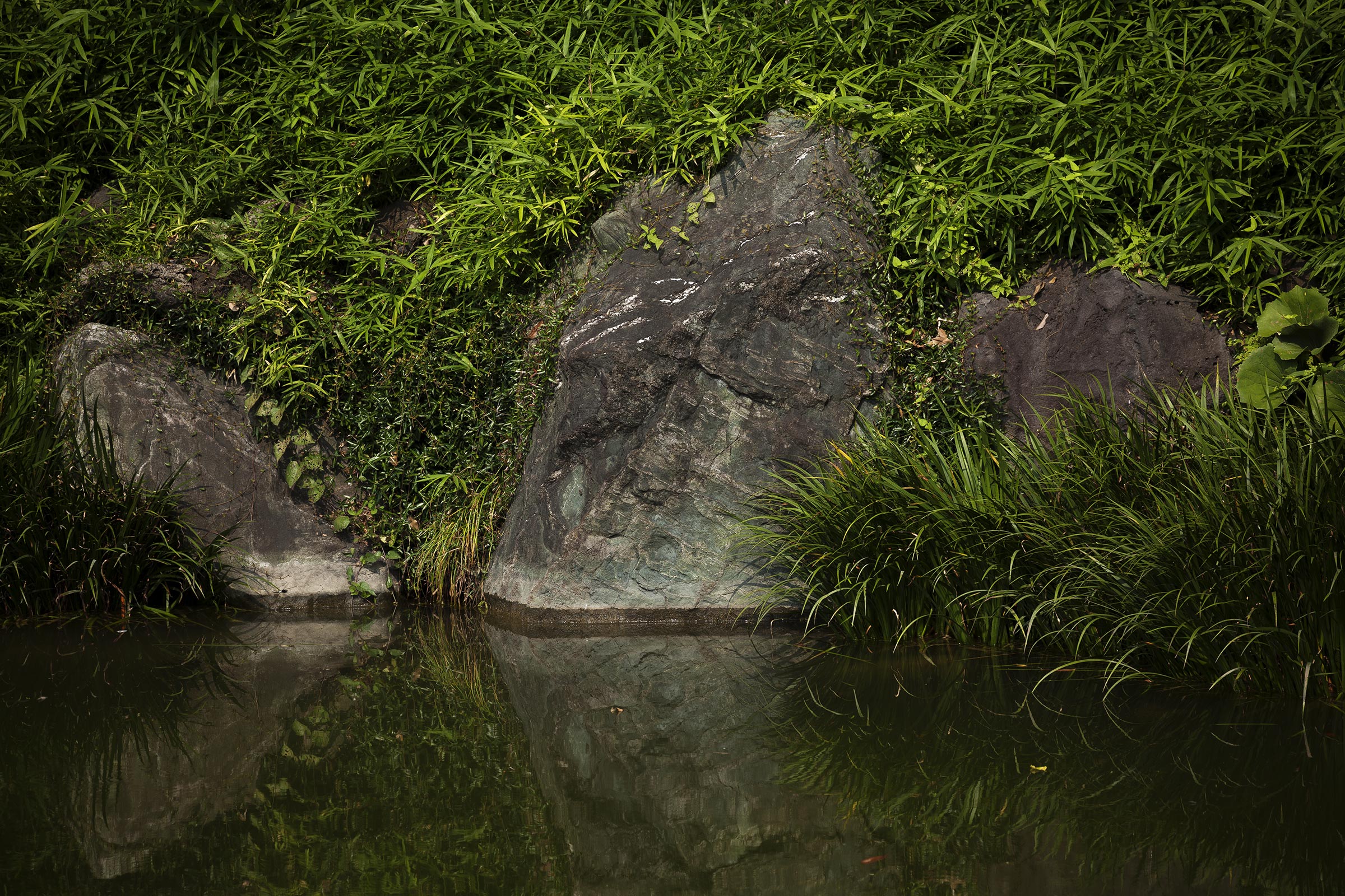 Kiyosumi - 