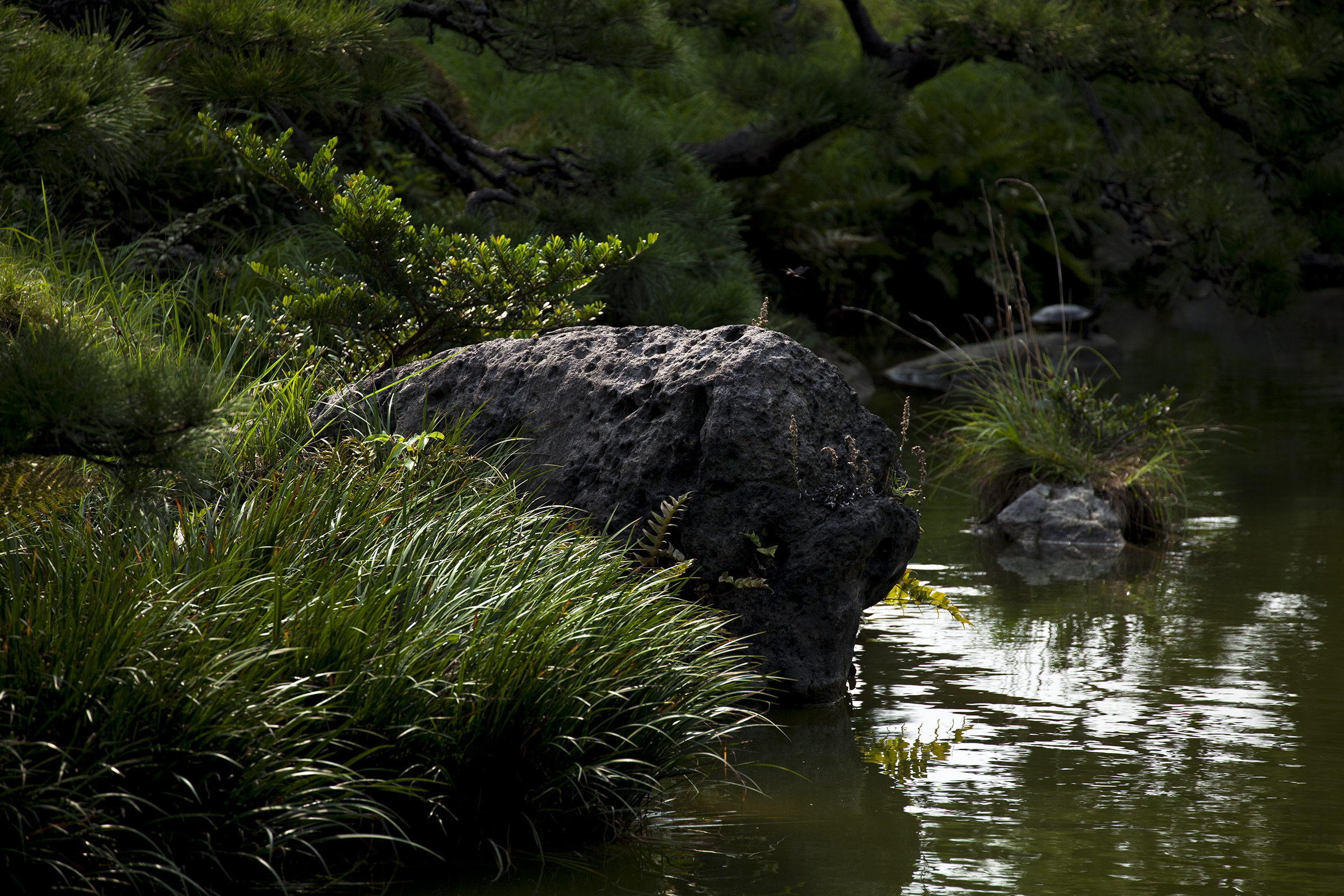 Kiyosumi - 