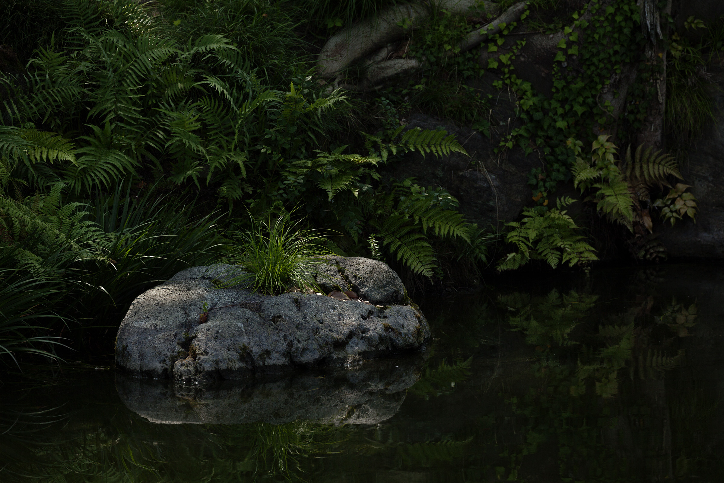 Kiyosumi - 