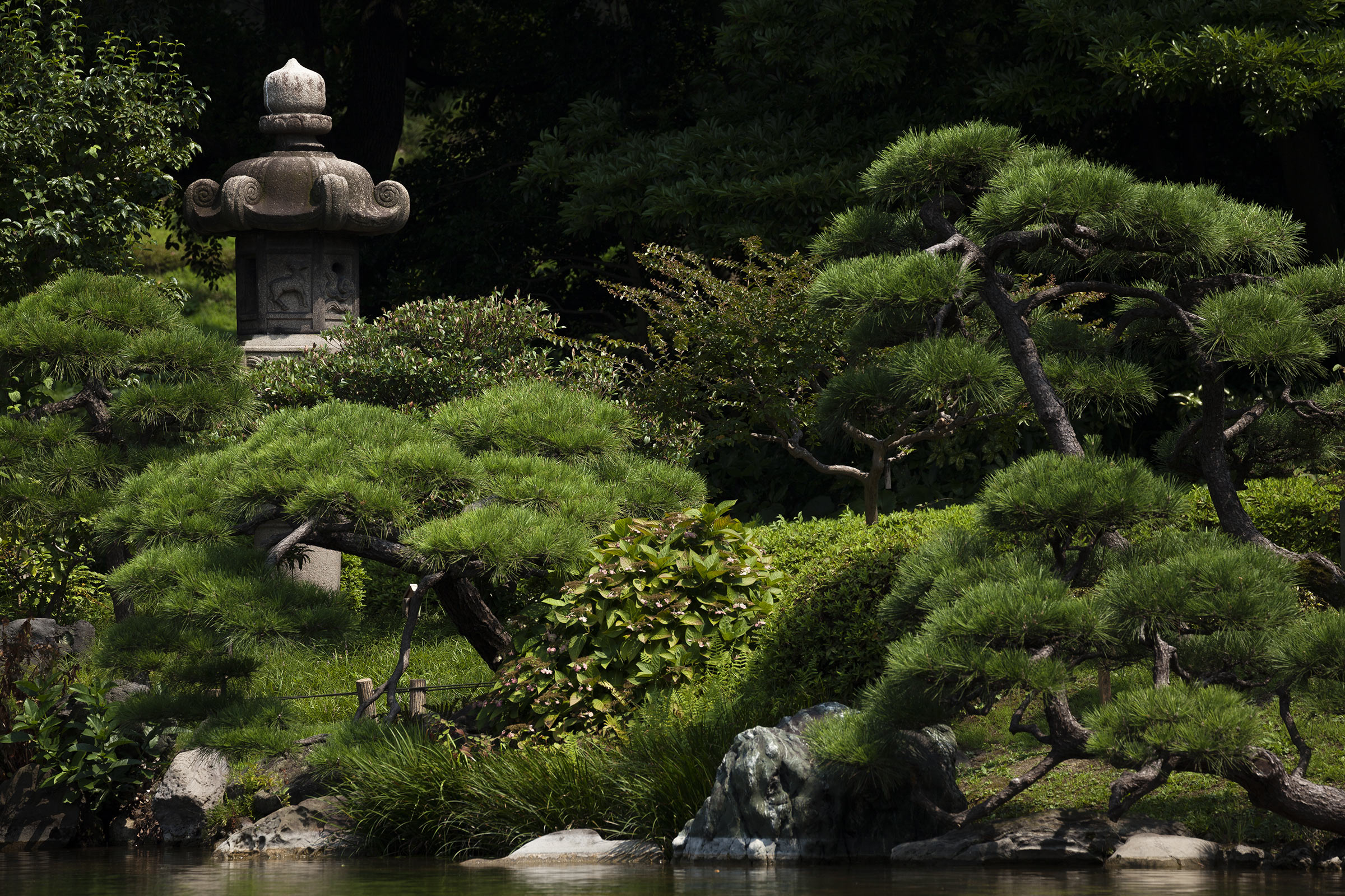 Kiyosumi - 