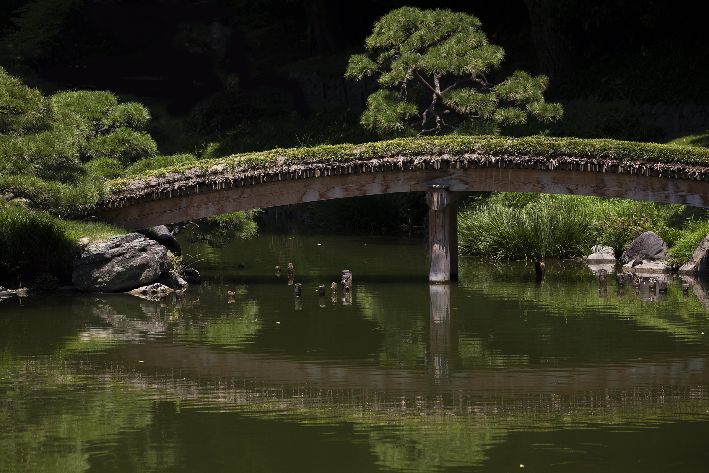 Kiyosumi - 