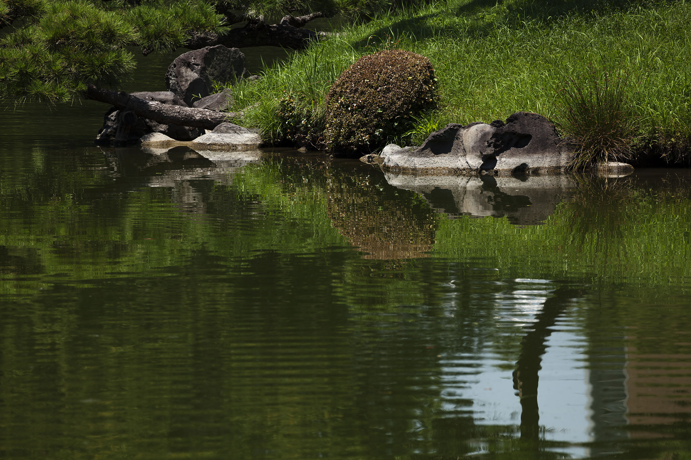 Kiyosumi - 