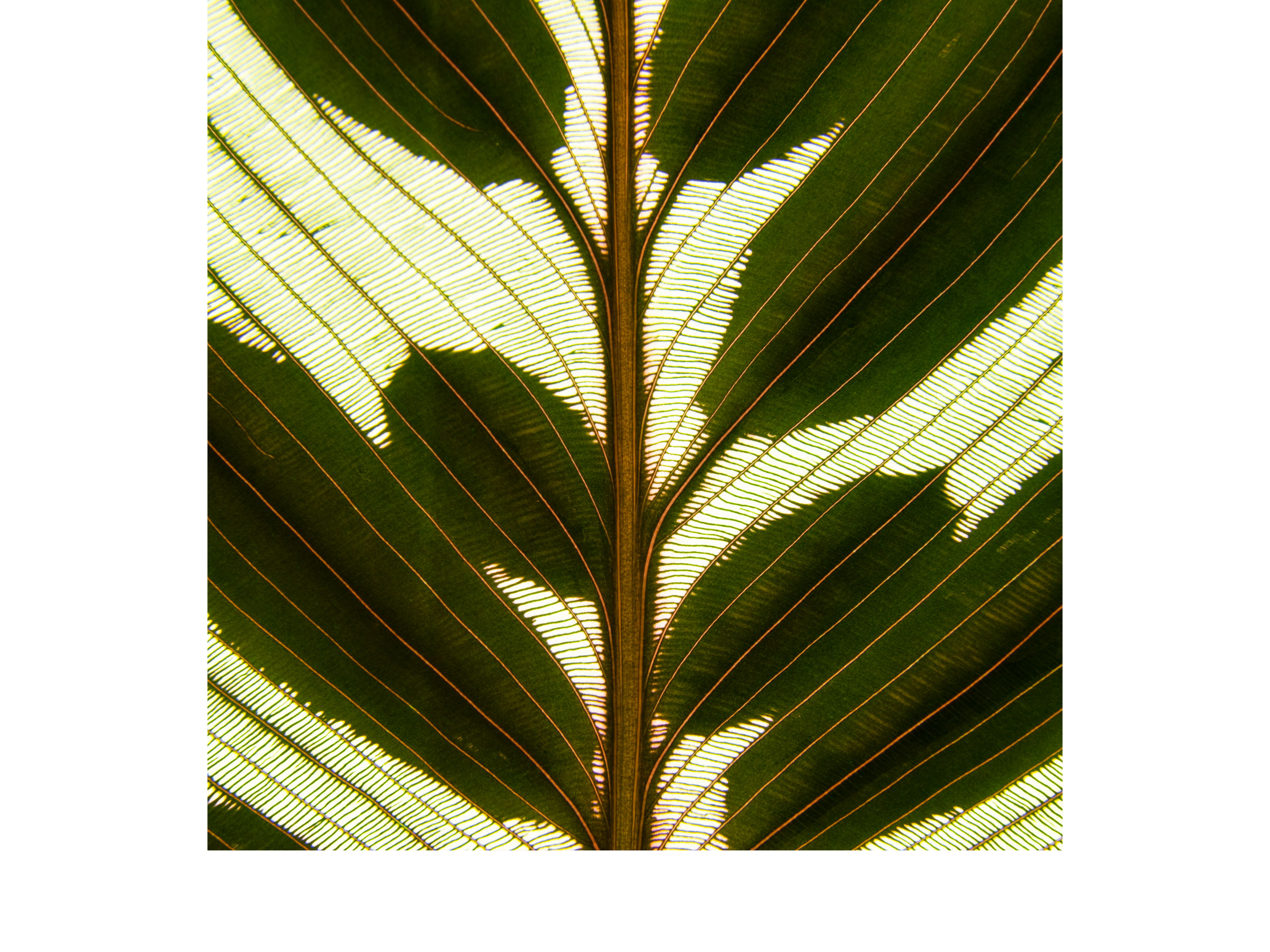 006 - 