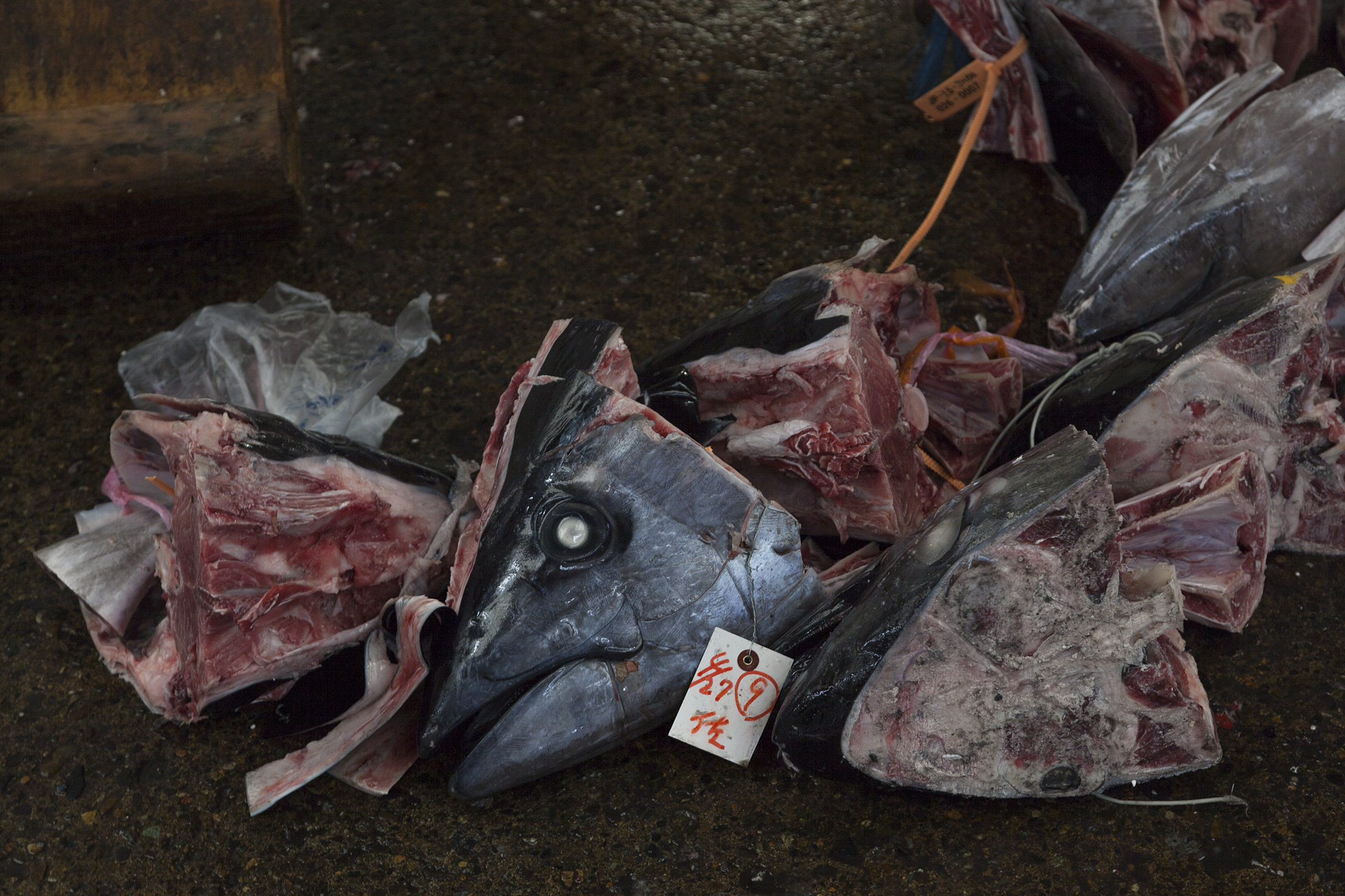 Tsukiji - 