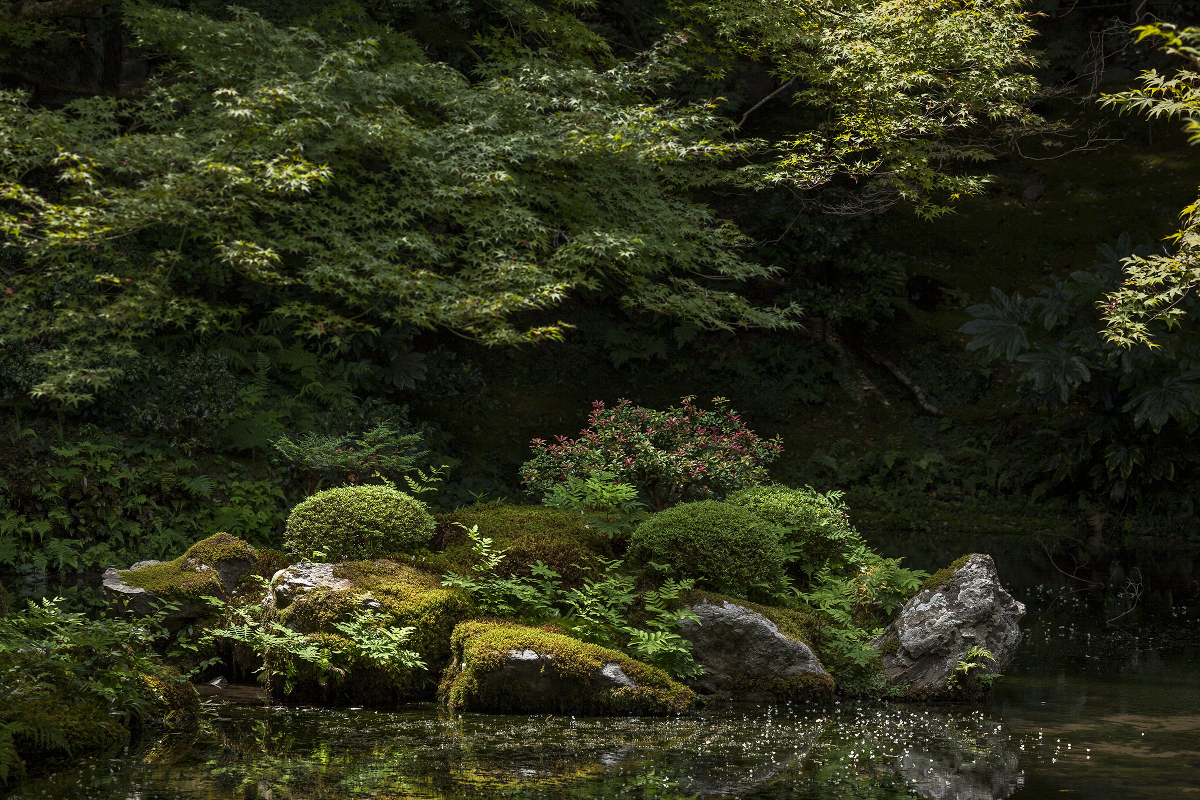 Nanzenji - Nanzenji - Kyoto