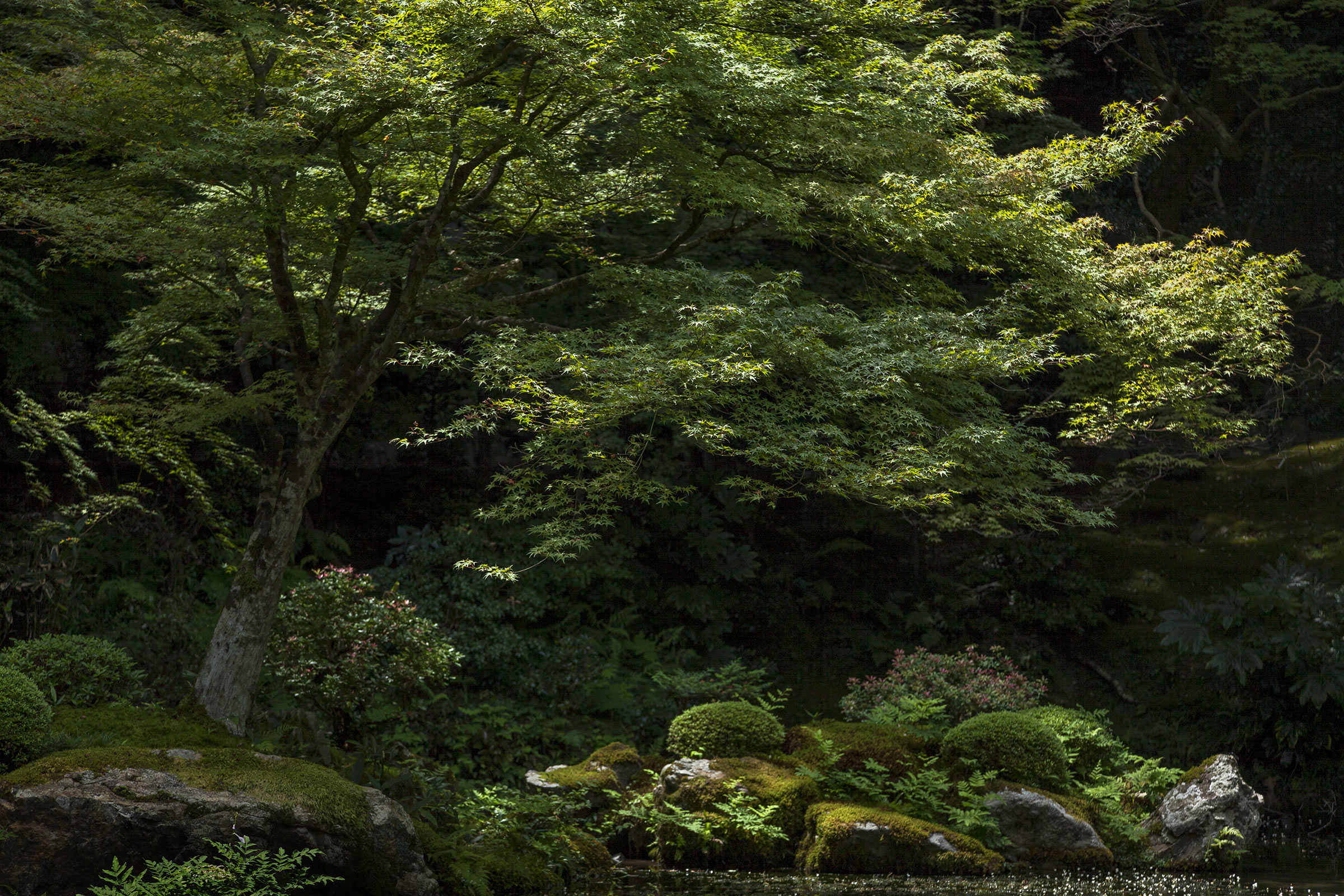 Nanzenji - Nanzenji - Kyoto