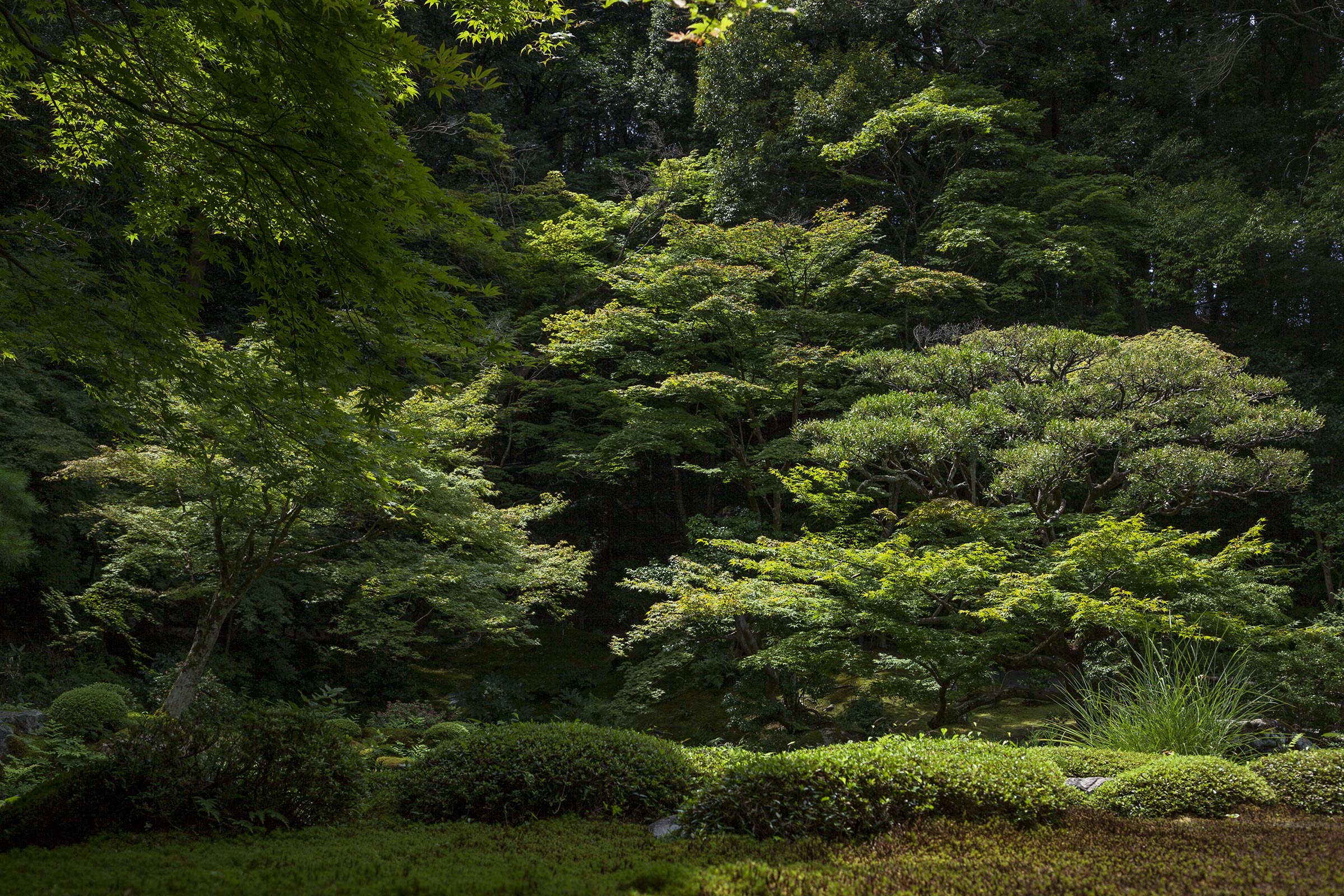 Nanzenji - Nanzenji - Kyoto
