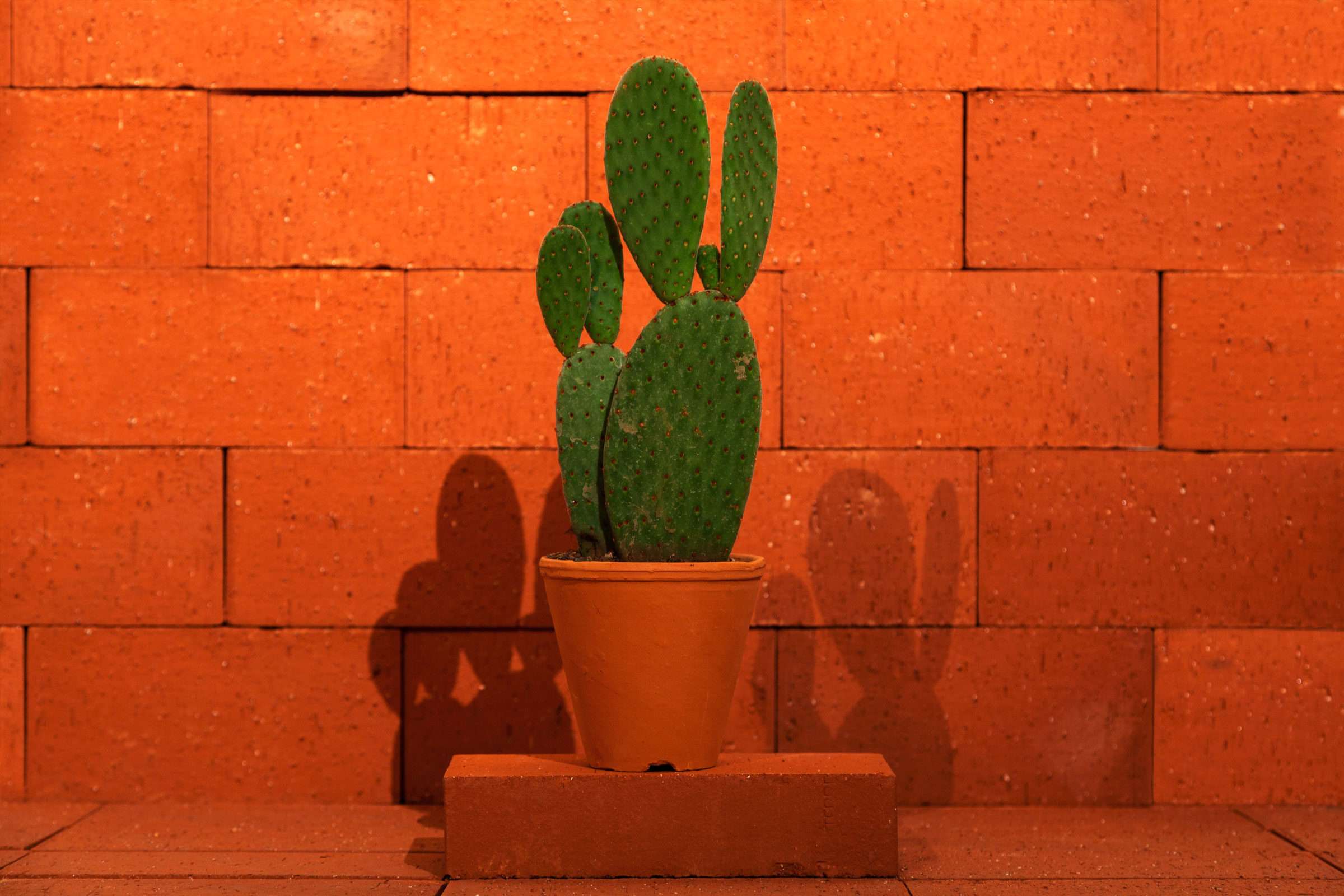 Particule 02 - 