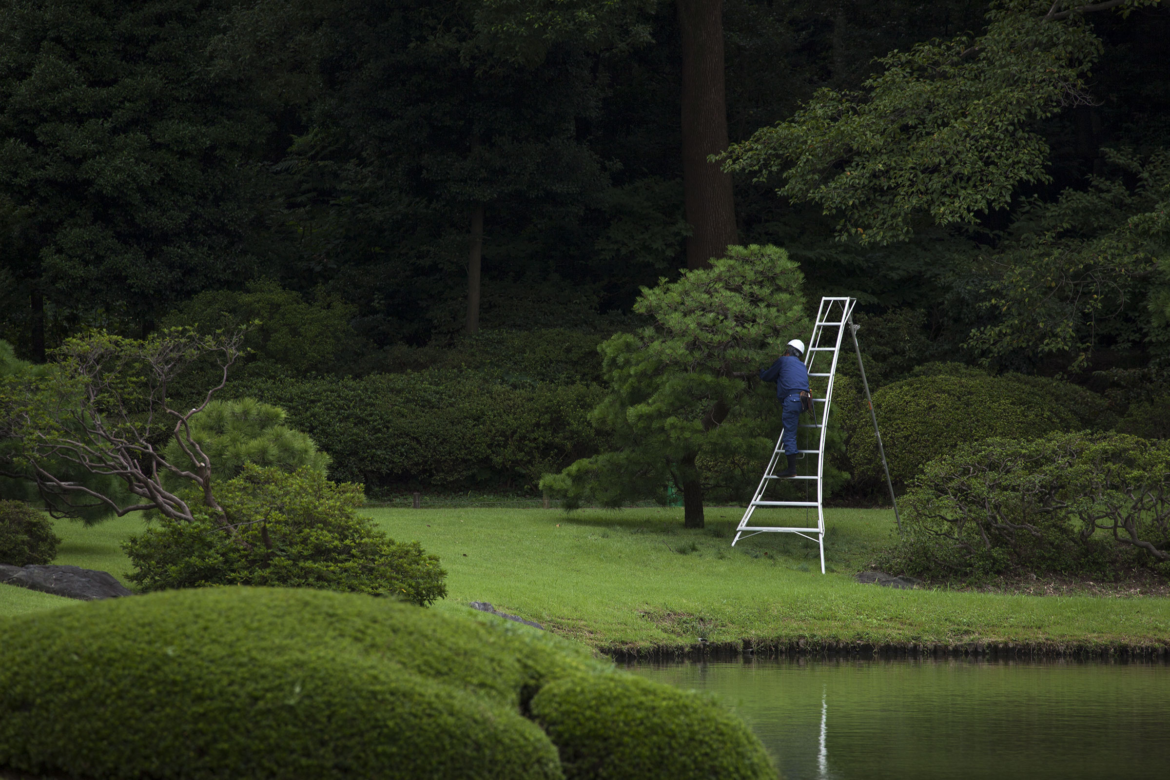 Rikugi-en - Rikugien - Tokyo - jardin de Rikugien
