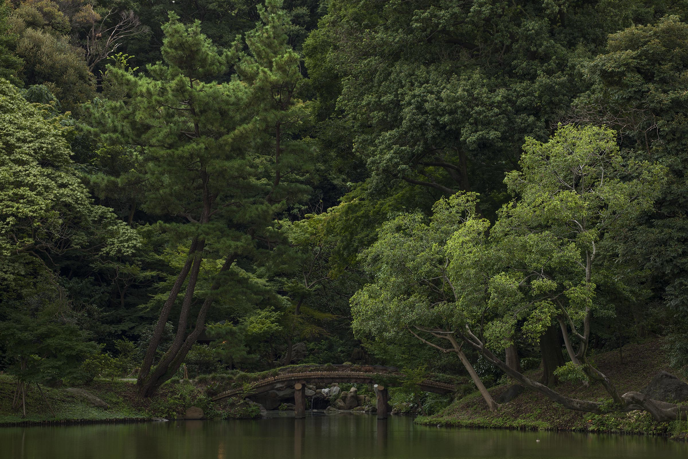 Rikugi-en - Rikugien - Tokyo - jardin de Rikugien
