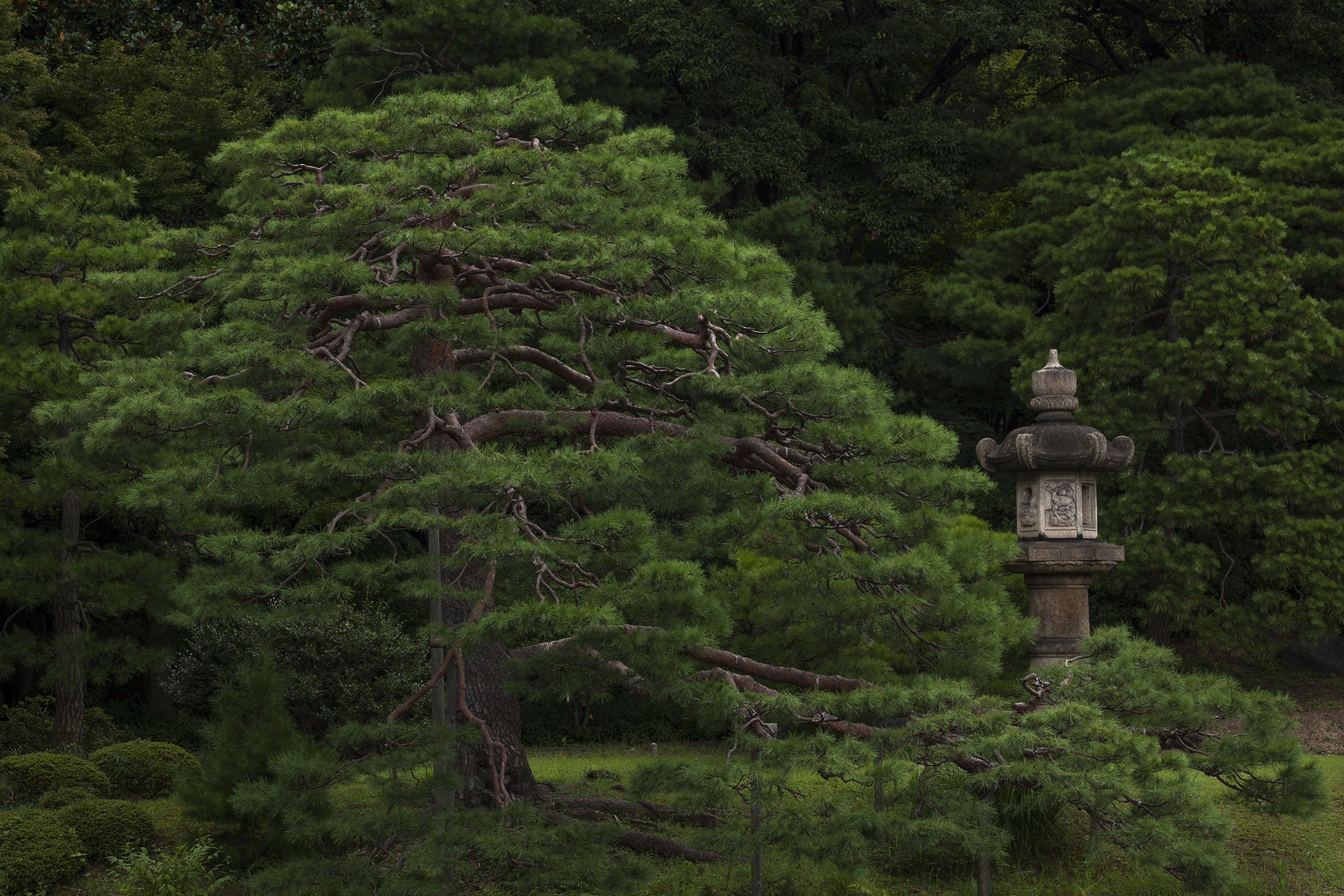 Rikugi-en - Rikugien - Tokyo - jardin de Rikugien