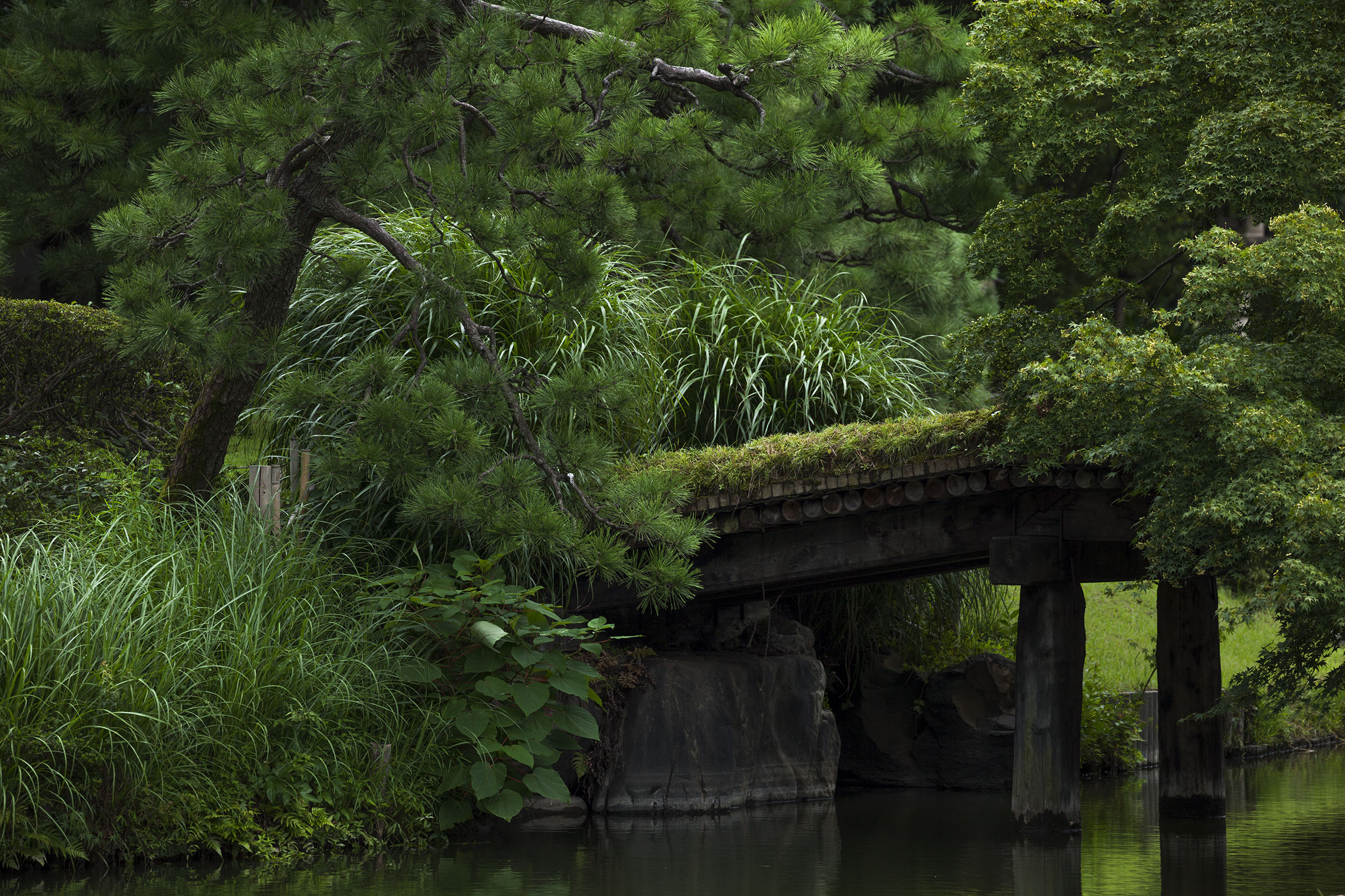 Rikugi-en - Rikugien - Tokyo - jardin de Rikugien