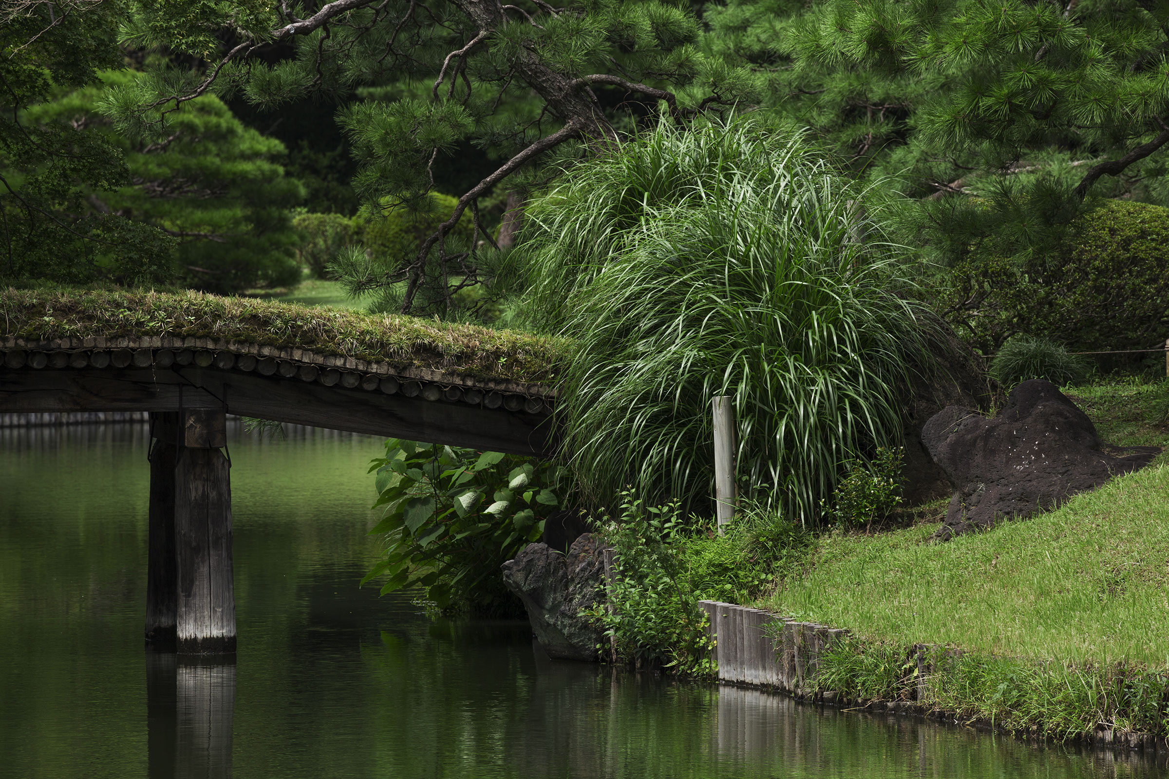 Rikugi-en - Rikugien - Tokyo - jardin de Rikugien