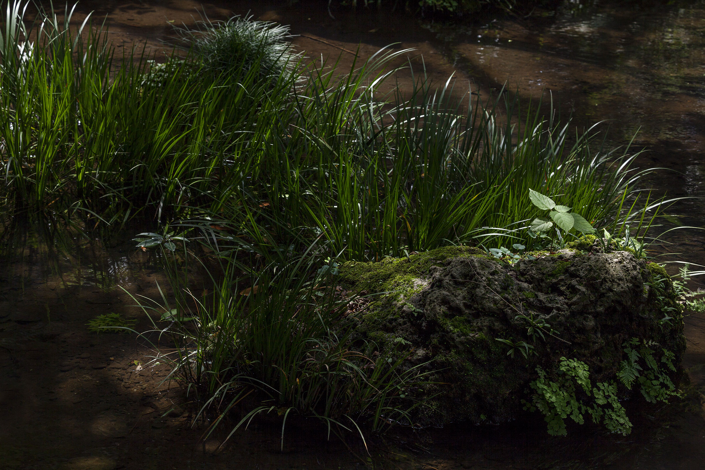 Rikugi-en - Rikugien - Tokyo - jardin de Rikugien