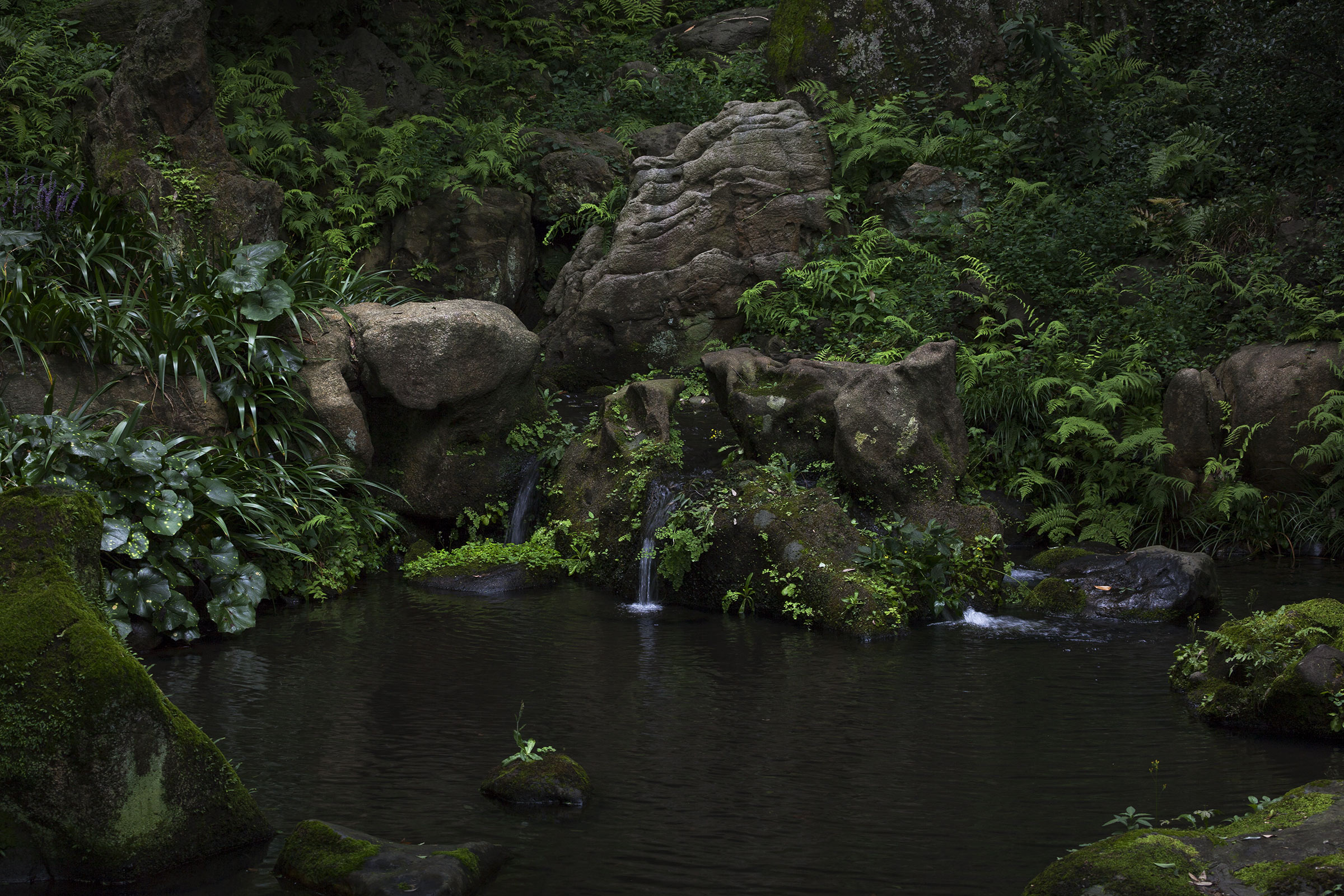 Rikugi-en - Rikugien - Tokyo - jardin de Rikugien