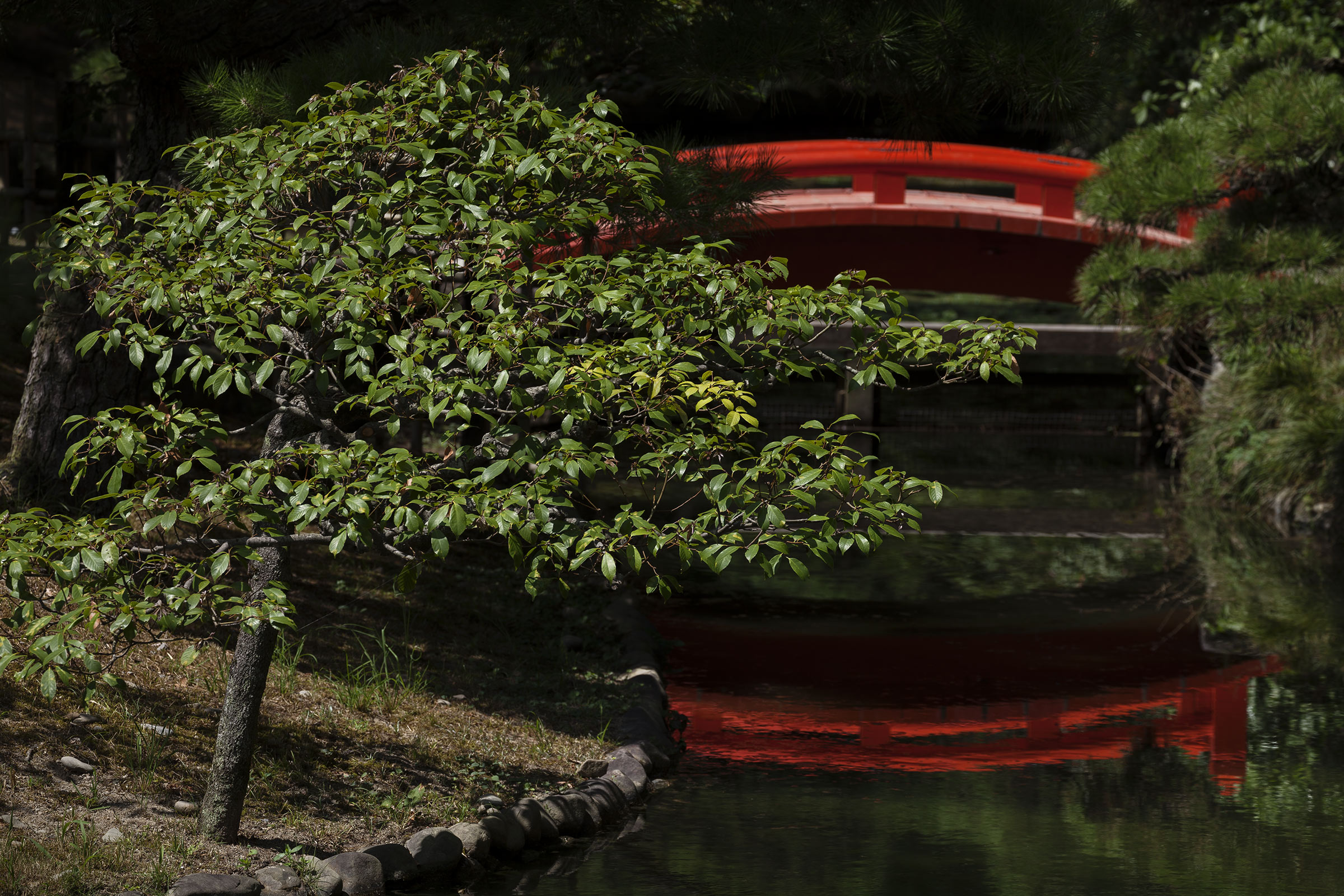 Ritsurin garden - Ritsurin garden_Takamatsu