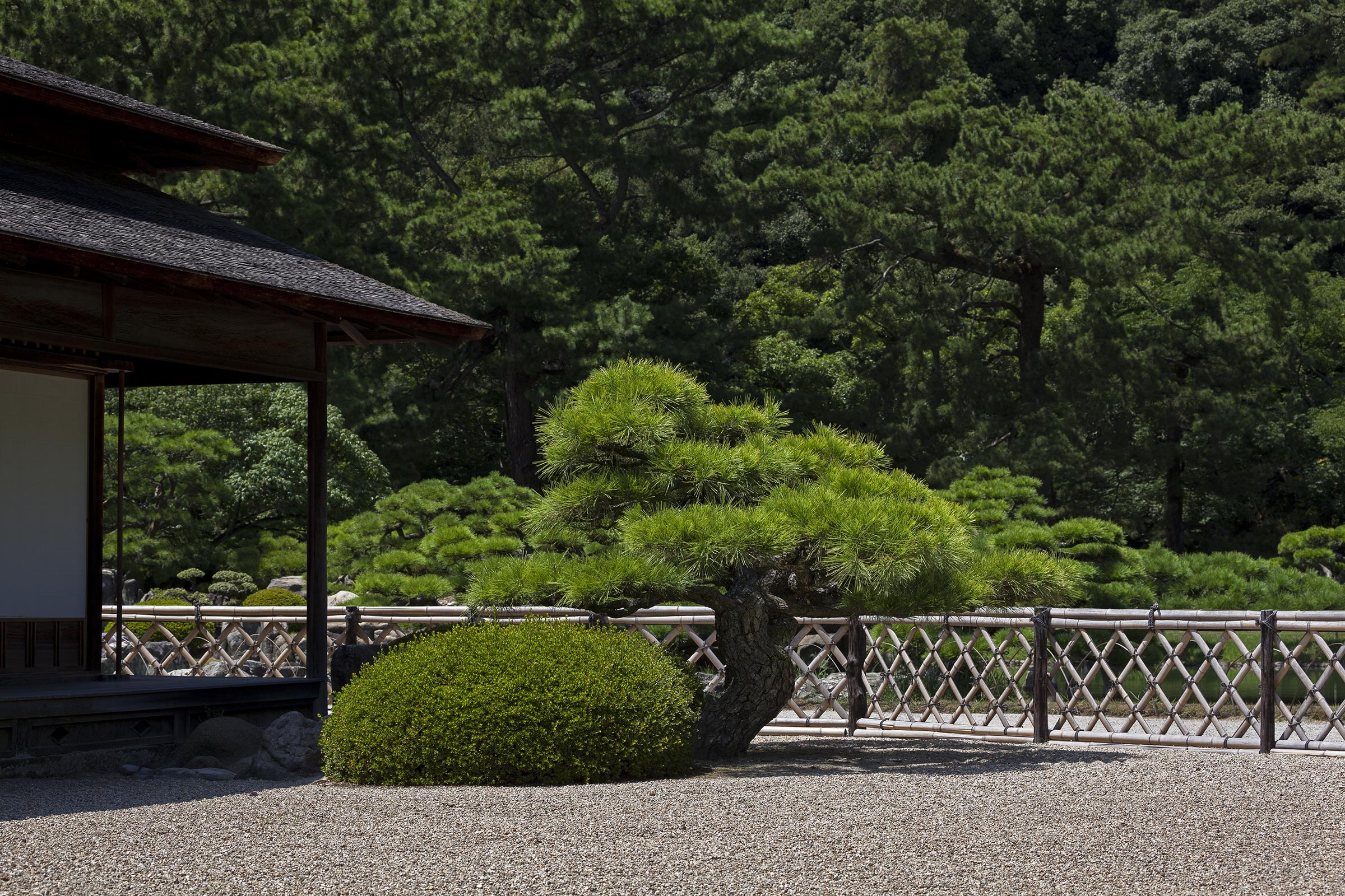 Ritsurin garden - Ritsurin garden_Takamatsu