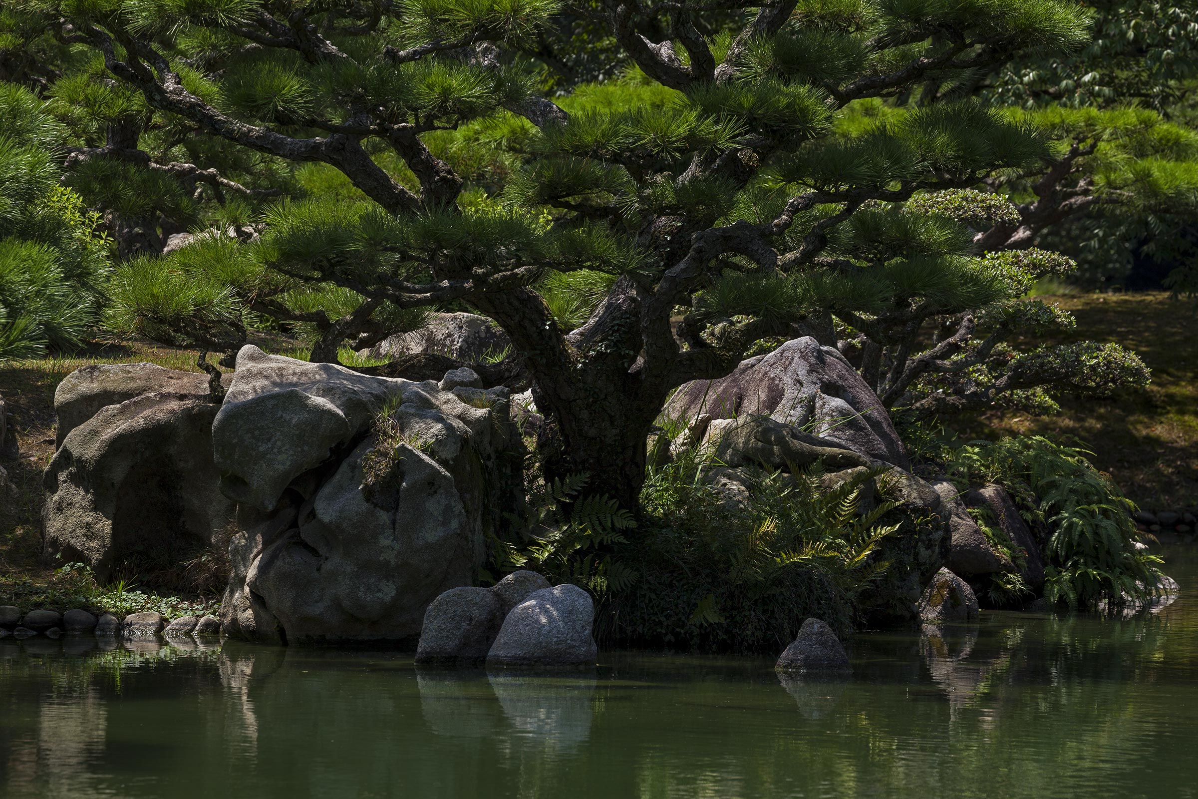 Ritsurin garden - Ritsurin garden_Takamatsu