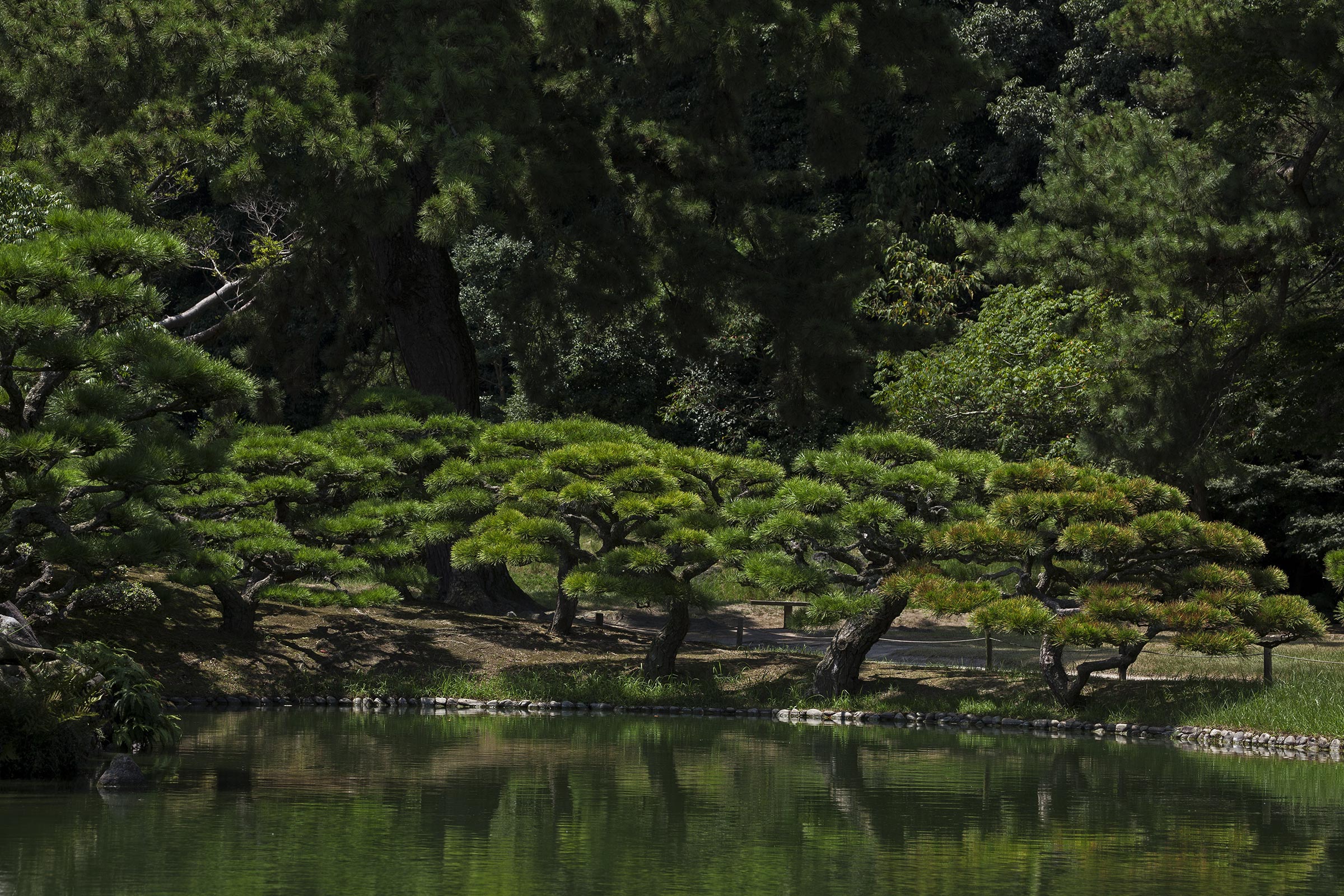 Ritsurin garden - Ritsurin garden_Takamatsu
