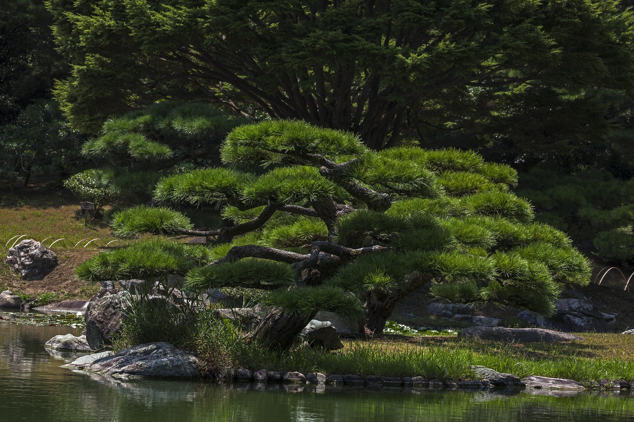 Ritsurin garden - Ritsurin garden_Takamatsu