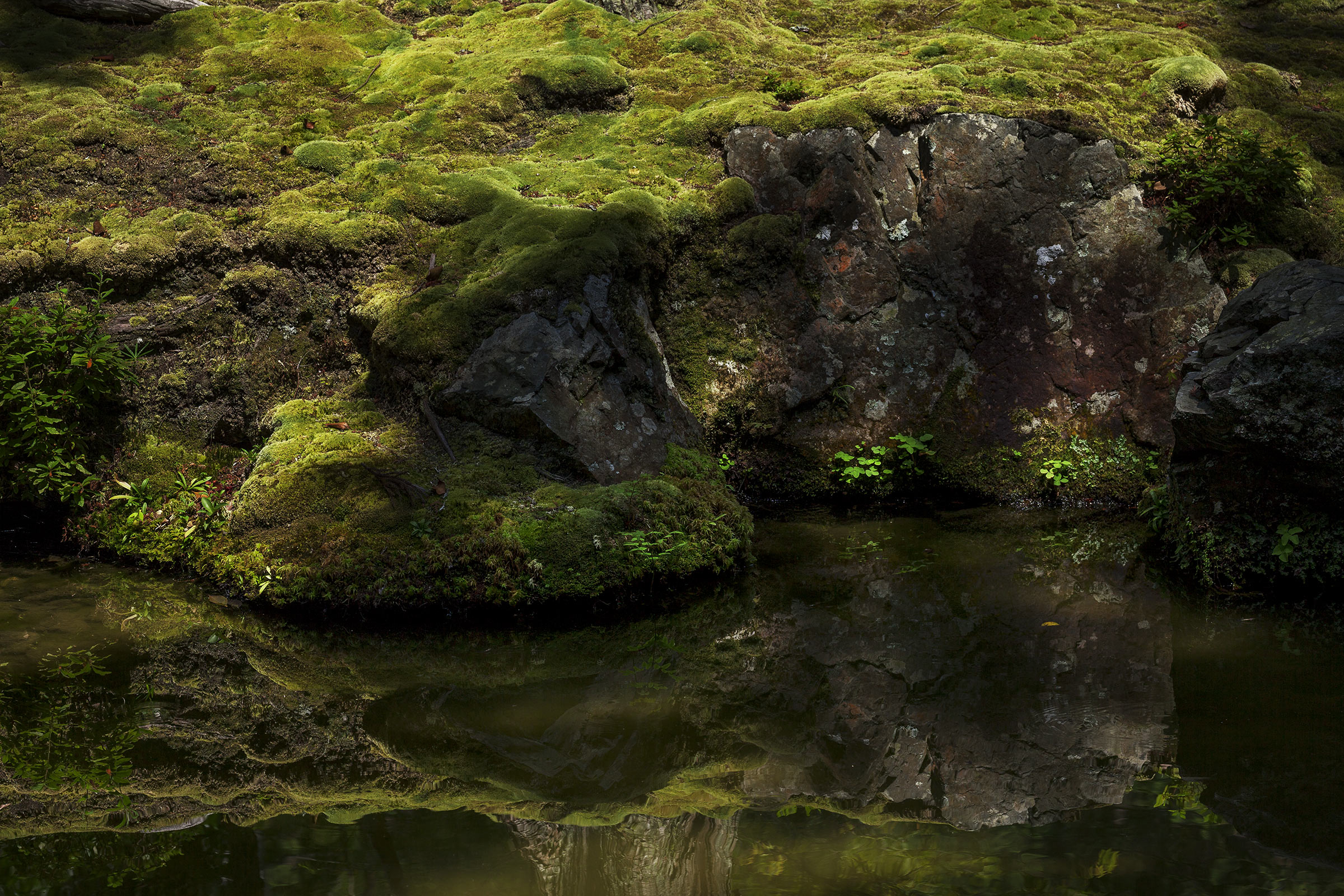 Saiho-ji - Temple des Mousses - Kokedera - Moss Temple - Kyoto - Saihoji