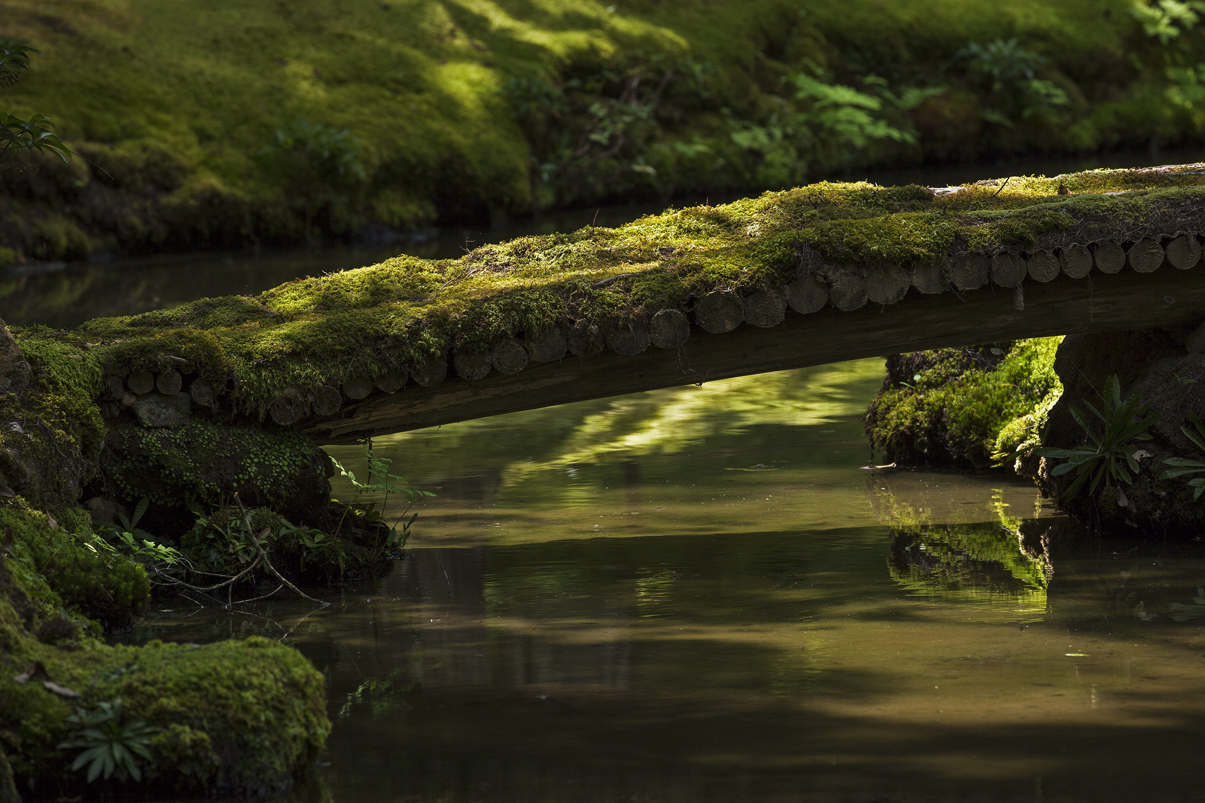 Saiho-ji - Temple des Mousses - Kokedera - Moss Temple - Kyoto - Saihoji