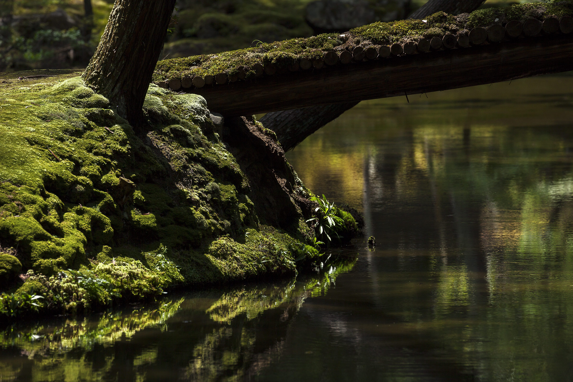 Saiho-ji - Temple des Mousses - Kokedera - Moss Temple - Kyoto - Saihoji