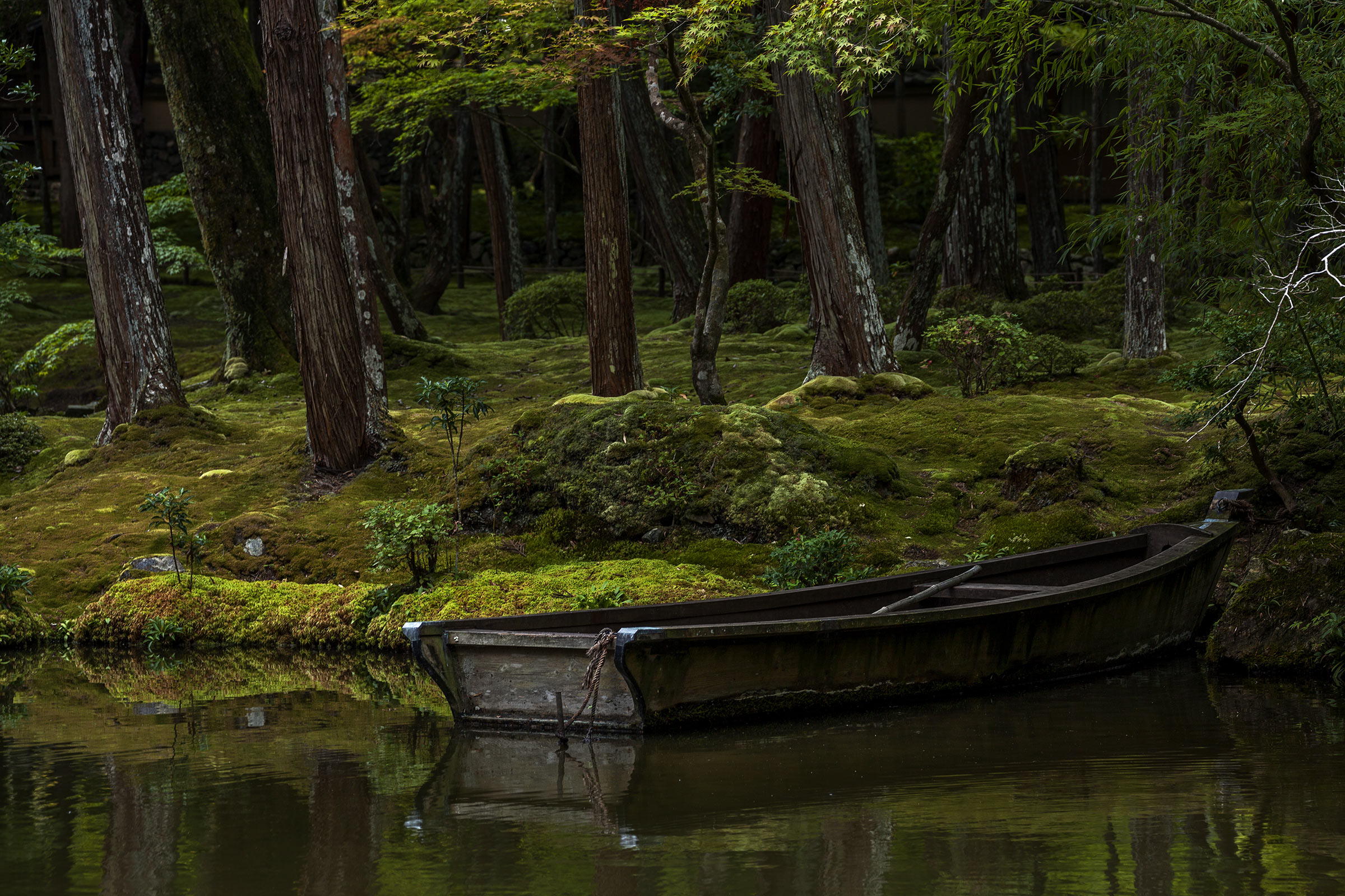Saiho-ji - Temple des Mousses - Kokedera - Moss Temple - Kyoto - Saihoji