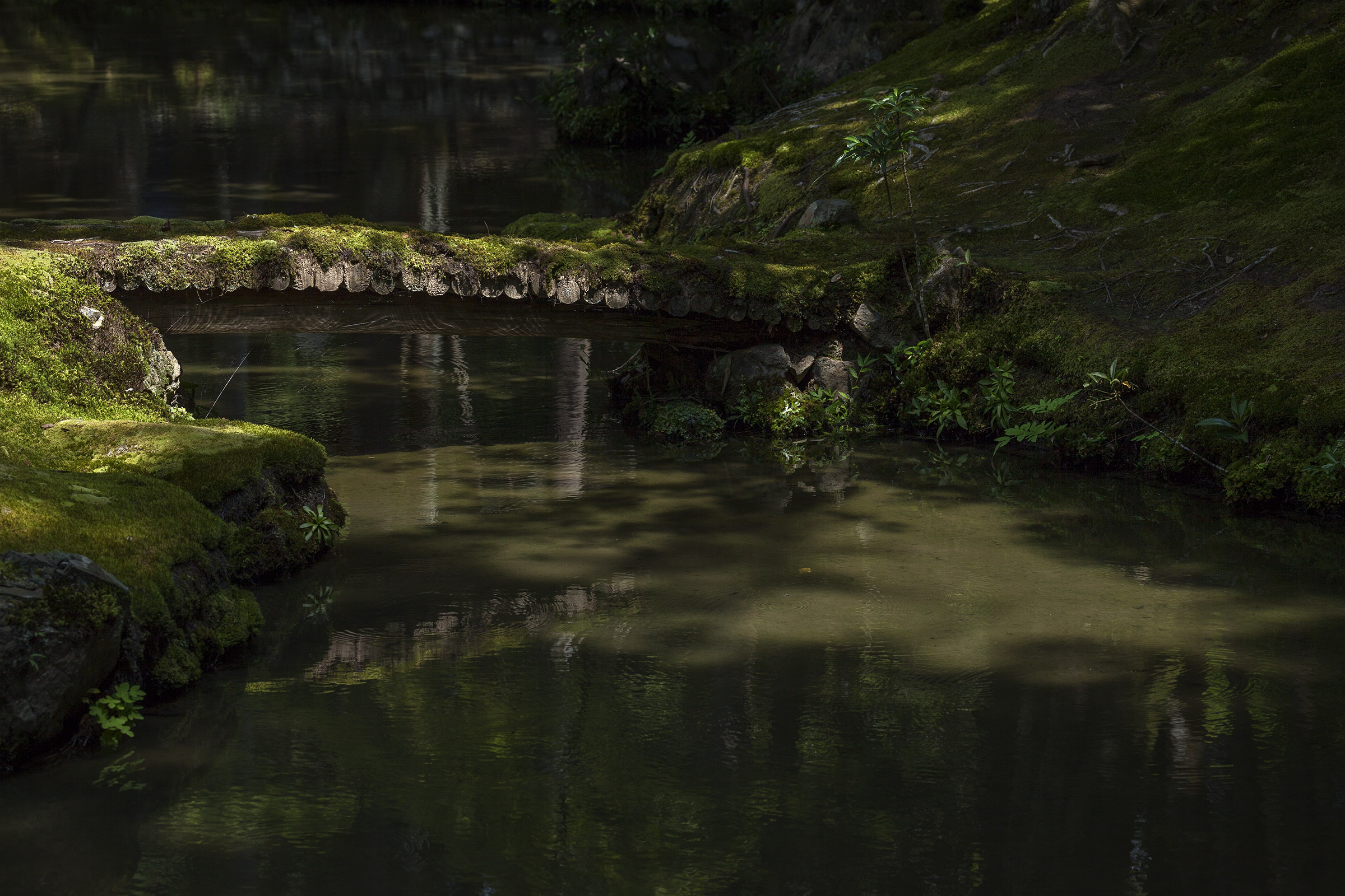 Saiho-ji - Temple des Mousses - Kokedera - Moss Temple - Kyoto - Saihoji