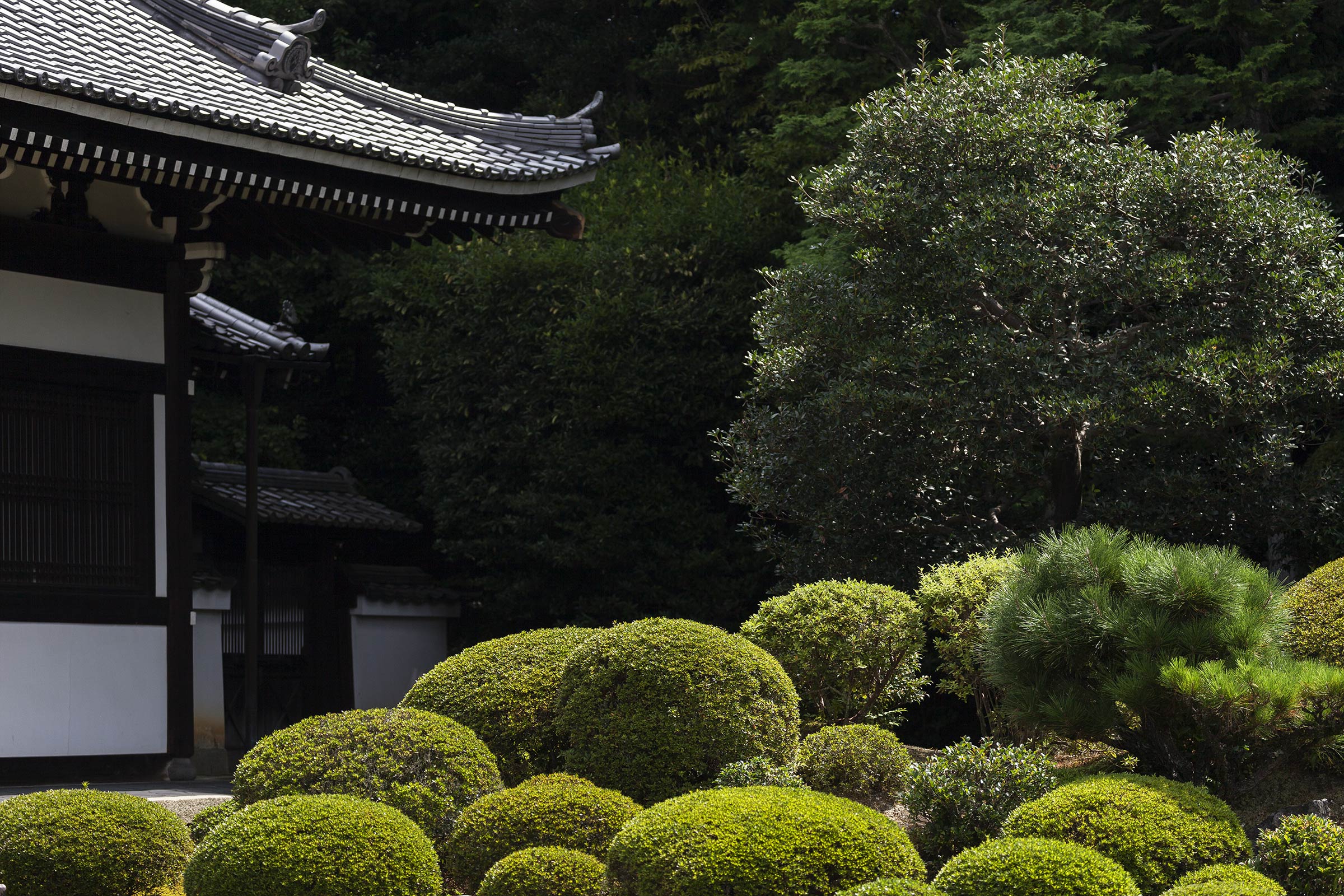 Tofuku-ji Garden - Tofuku-ji Garden - Tofukuji - Kyoto -