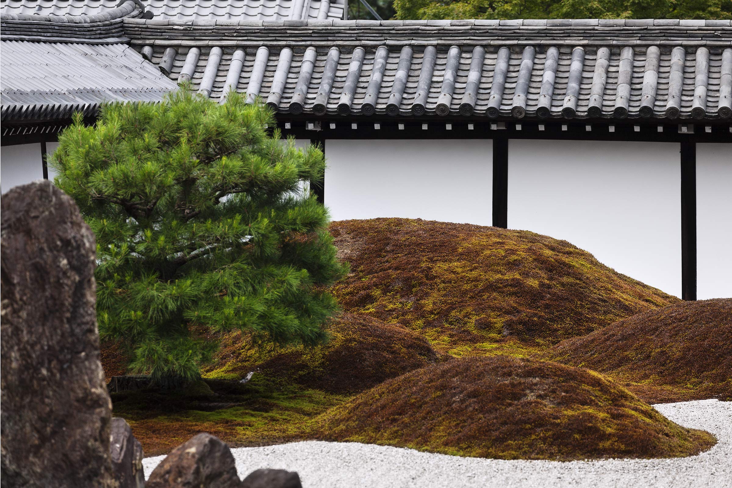 Tofuku-ji Garden - Tofuku-ji Garden - Tofukuji - Kyoto -