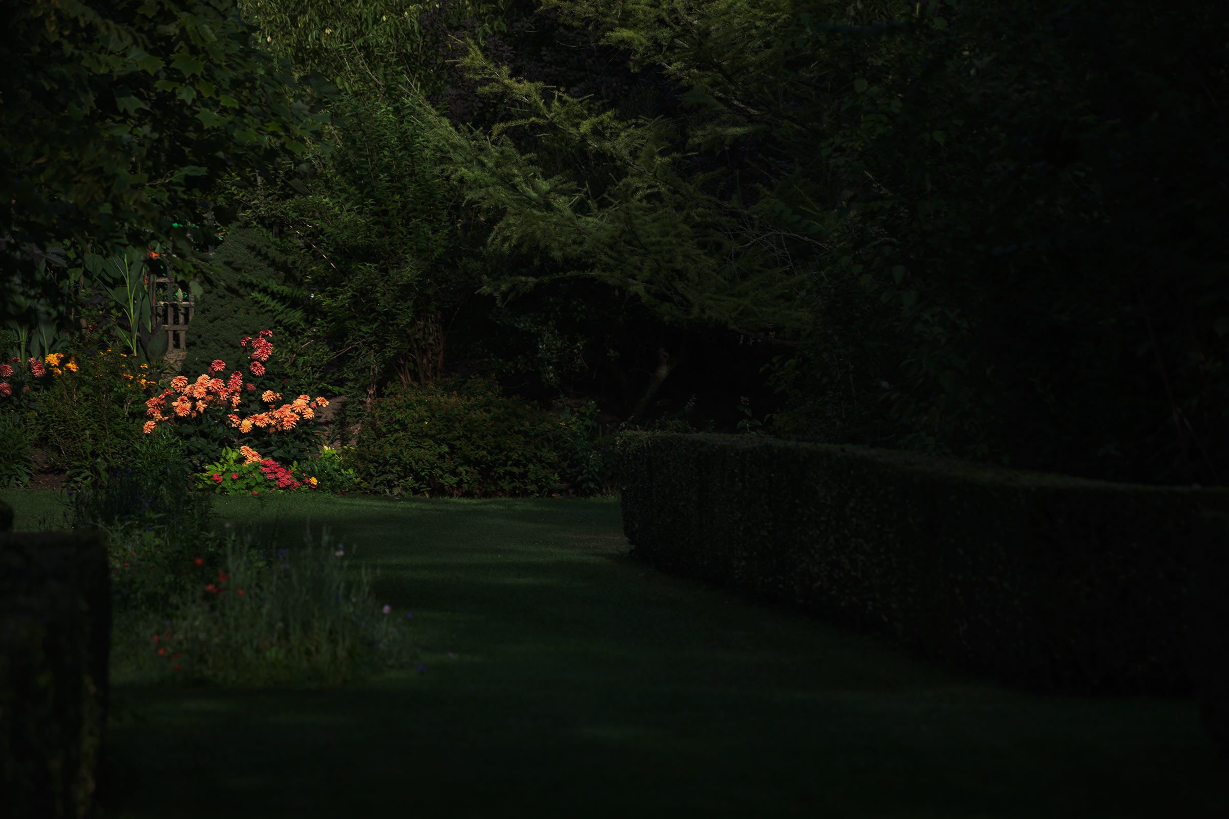 Ternissien
